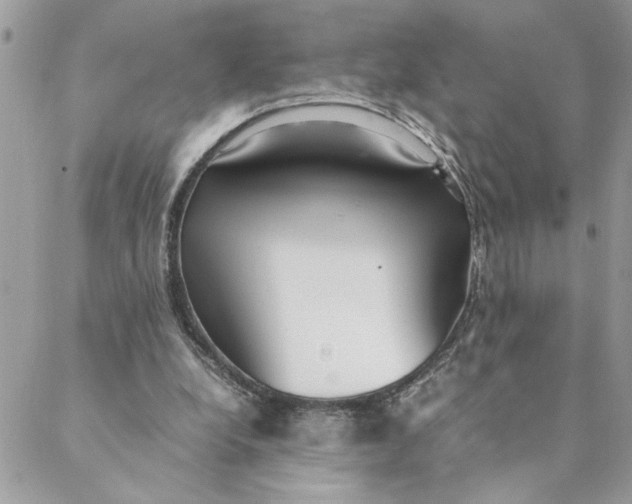 X0000088580248200706151718