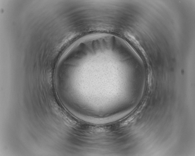 X0000088580249200706151718