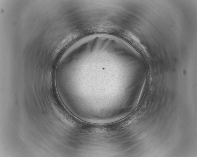 X0000088580250200706151718