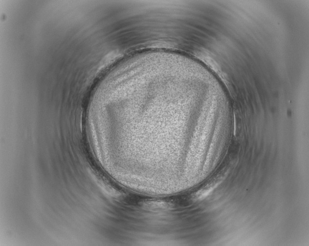 X0000088580253200706151718