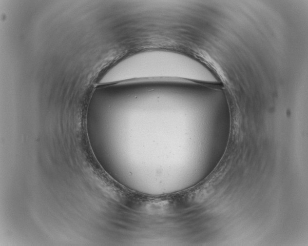 X0000088580257200706151718