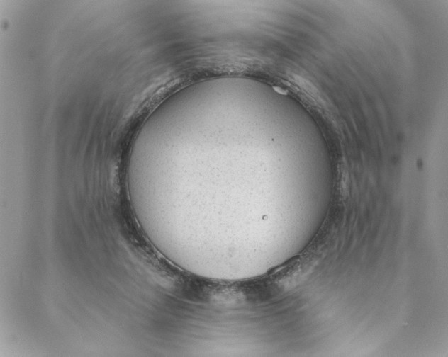 X0000088580258200706151719