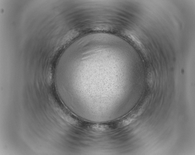 X0000088580261200706151719