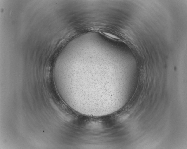 X0000088580263200706151719