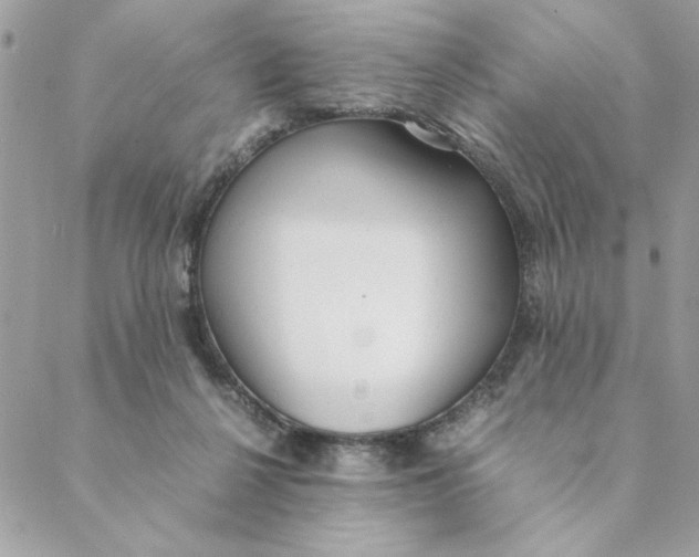 X0000088580264200706151719