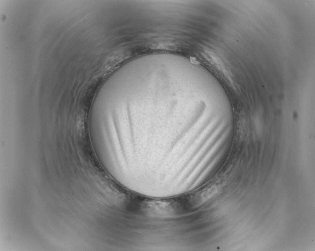 X0000088580265200706151719