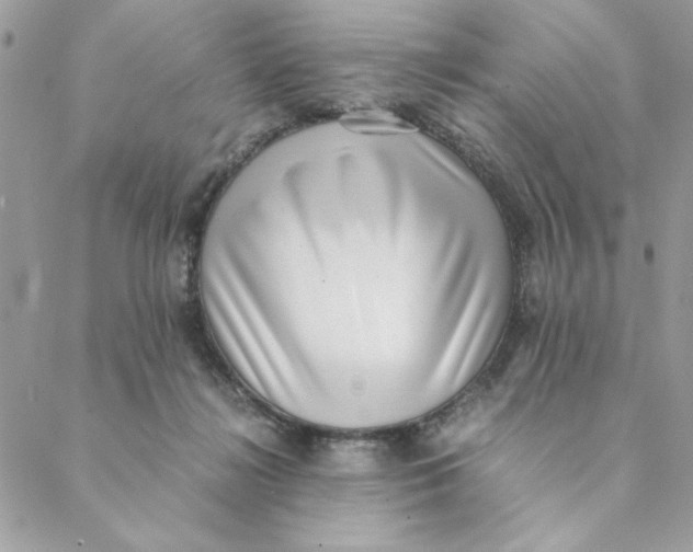 X0000088580268200706151719