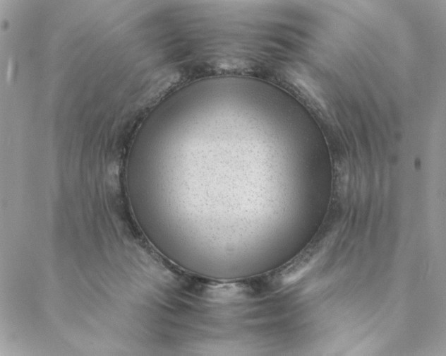 X0000088580269200706151719