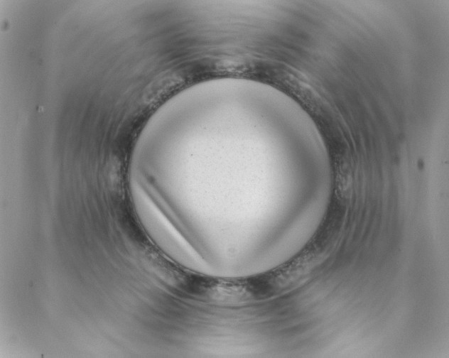 X0000088580270200706151719