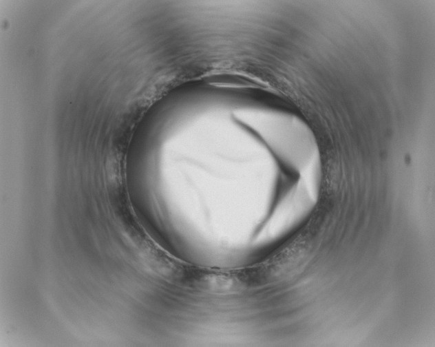 X0000088580272200706151719