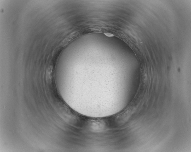 X0000088580275200706151719