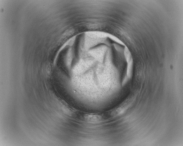 X0000088580277200706151719