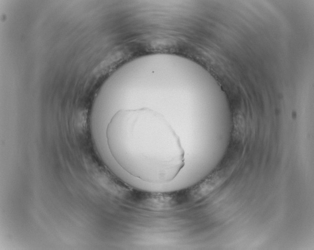 X0000088580278200706151719