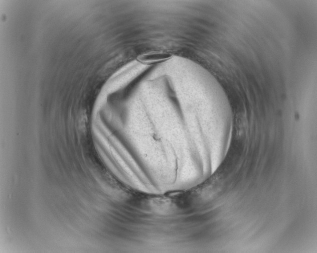 X0000088580279200706151719