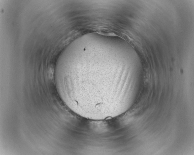 X0000088580281200706151719