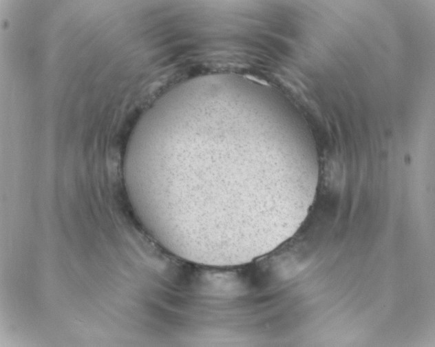 X0000088580283200706151719