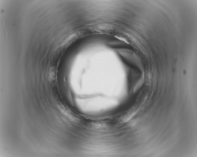 X0000088580284200706151719