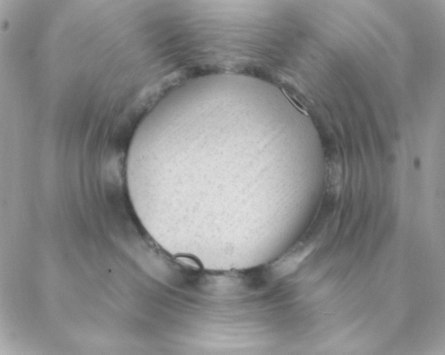 X0000088580286200706151719