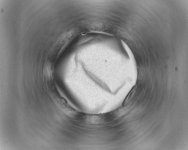 X0000088580287200706151719