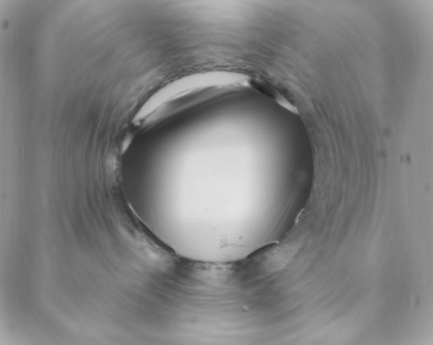 X0000088580288200706151719