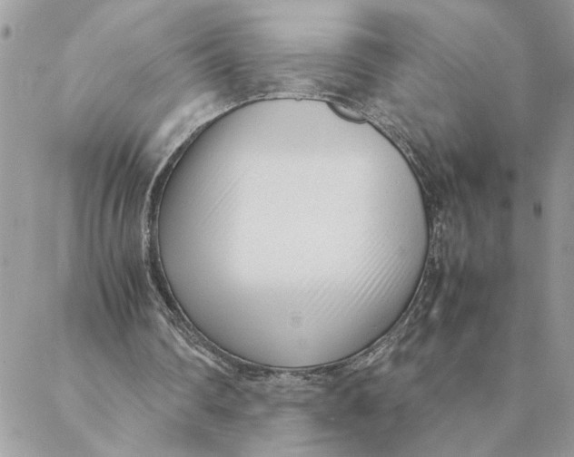 X0000088580290200706151718