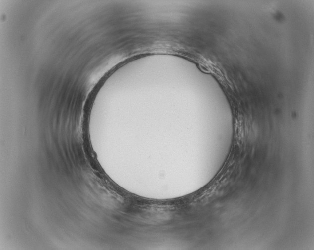 X0000088580292200706151718