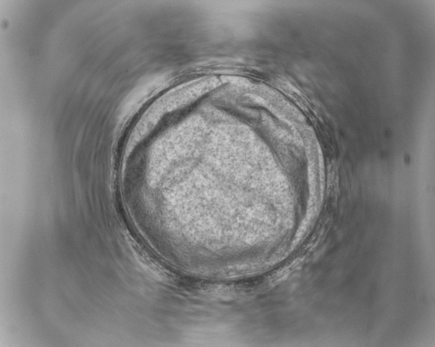 X0000088580293200706151718