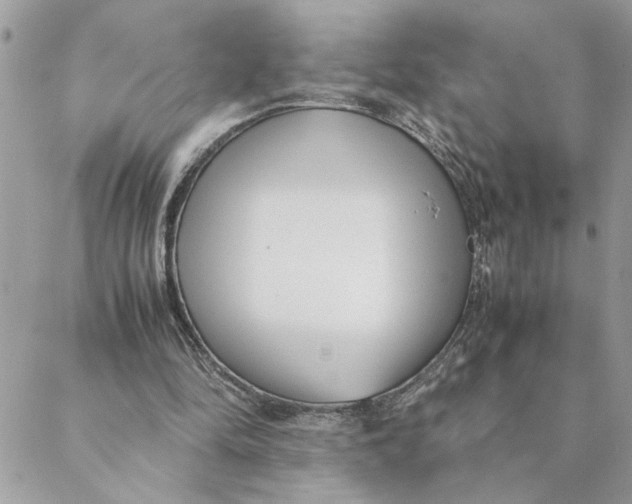 X0000088580294200706151718