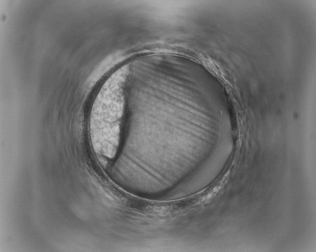 X0000088580295200706151718