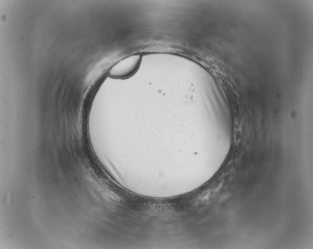 X0000088580296200706151718