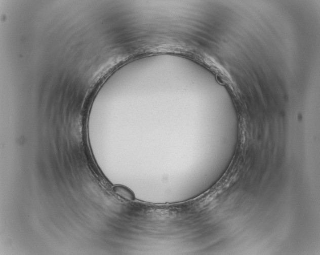 X0000088580298200706151718