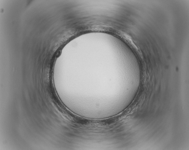 X0000088580299200706151718