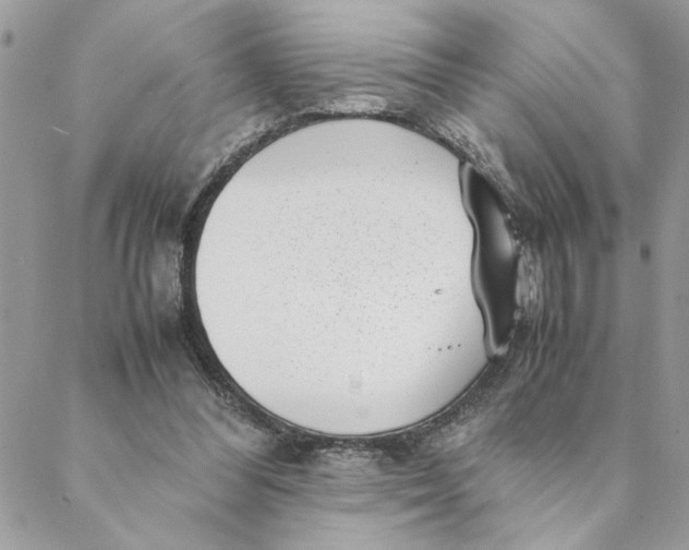 X0000088580300200706151718