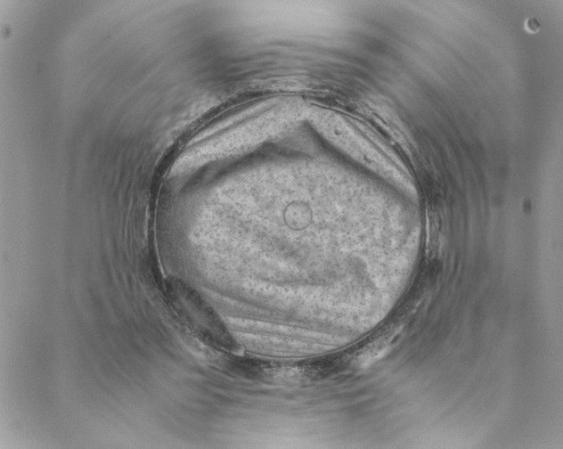 X0000088580301200706151718