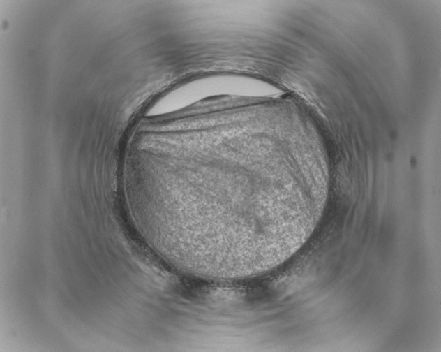 X0000088580303200706151718