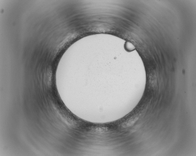 X0000088580304200706151718