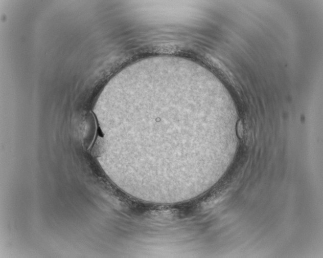 X0000088580307200706151718