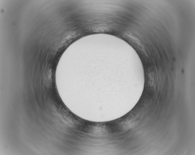 X0000088580308200706151718