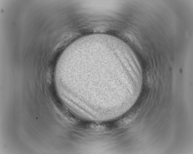 X0000088580311200706151718