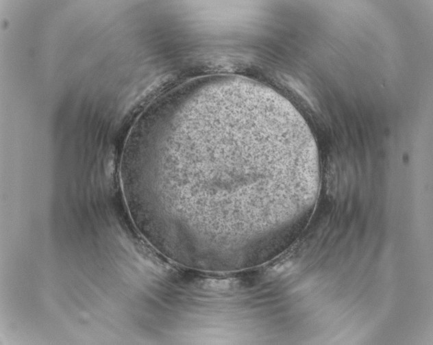 X0000088580314200706151718