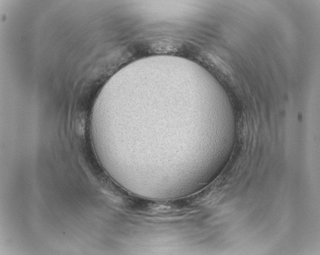 X0000088580315200706151718