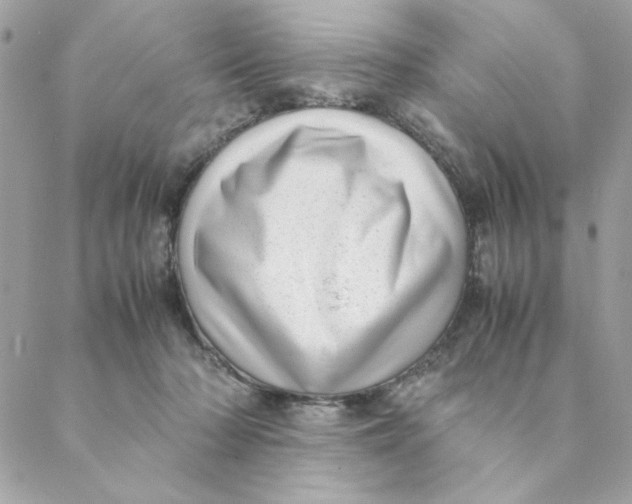 X0000088580318200706151718