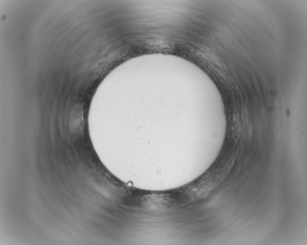 X0000088580320200706151718