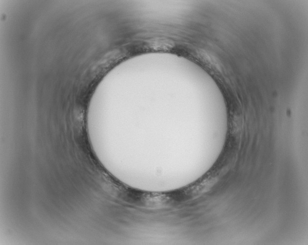 X0000088580321200706151718