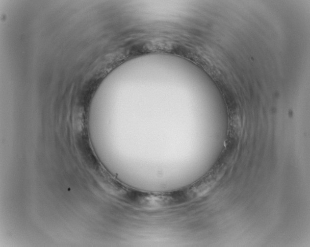 X0000088580323200706151718