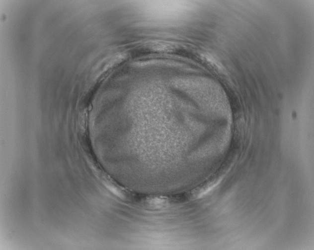 X0000088580325200706151718