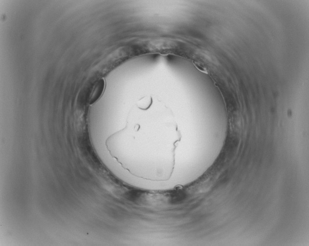 X0000088580327200706151718