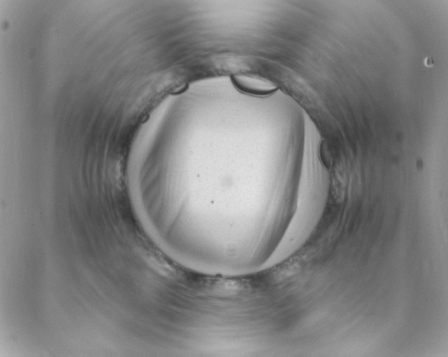 X0000088580330200706151718