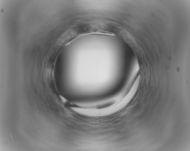 X0000088580333200706151718