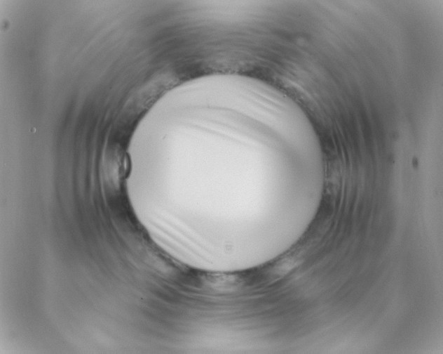 X0000088580334200706151717